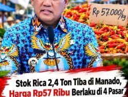 2,4 TON RICA TIBA DI SULUT, HARGA 57